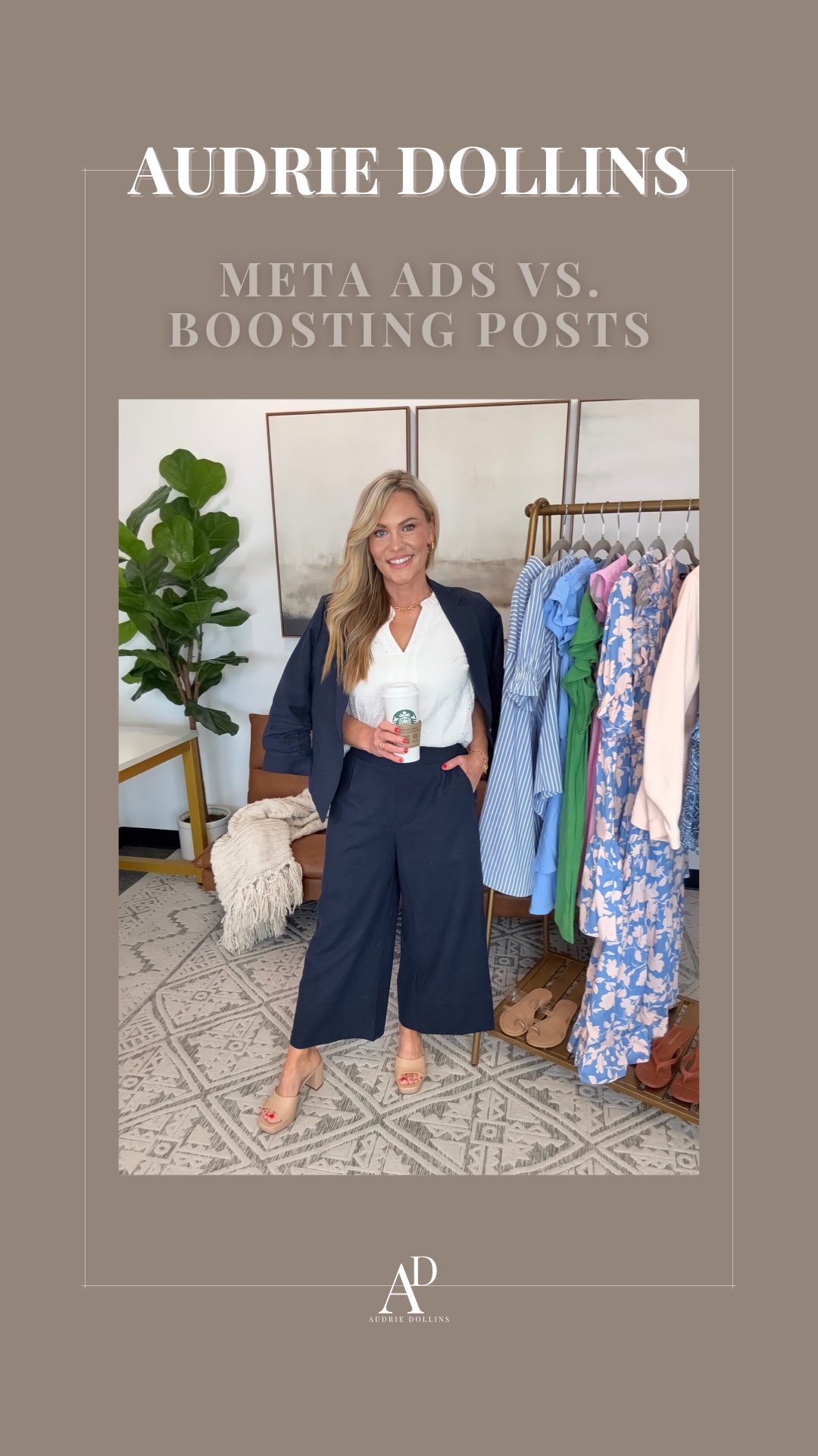 Audrie Dollins Pinterest Graphic Meta ADS VS Boosting Posts 